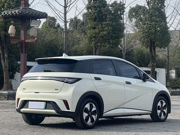 Фото 4 - BYD Dolphin