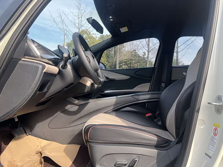 Фото 6 - BYD Dolphin