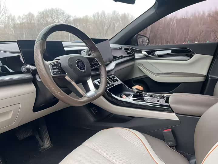 Фото 4 - BYD Qin Plus