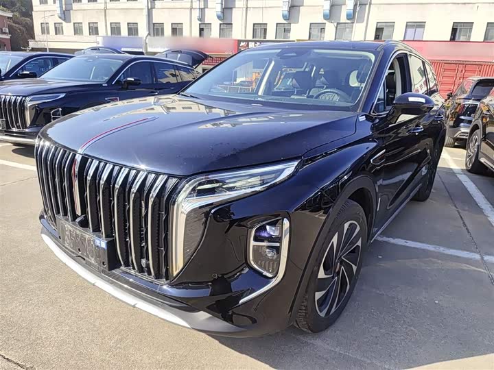 Фото 1 - Hongqi HS7 Hybrid