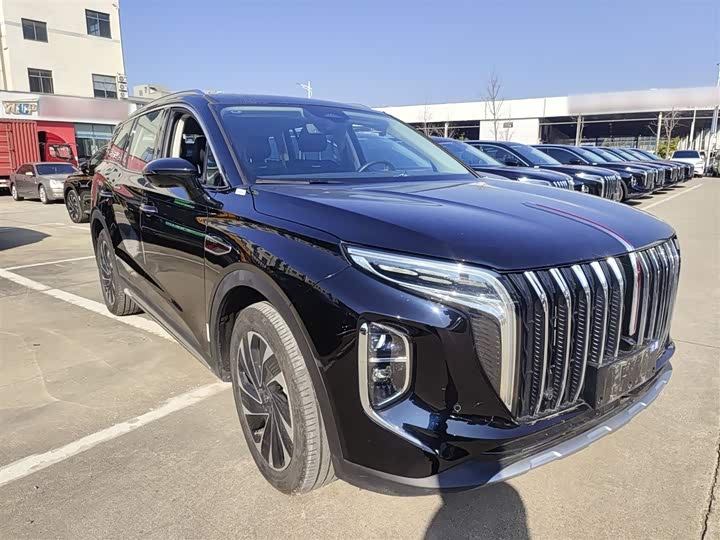 Фото 4 - Hongqi HS7 Hybrid