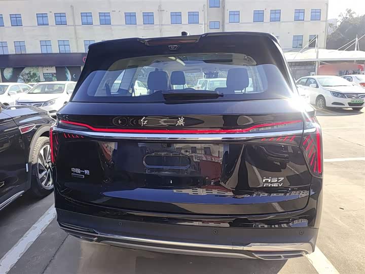 Фото 6 - Hongqi HS7 Hybrid