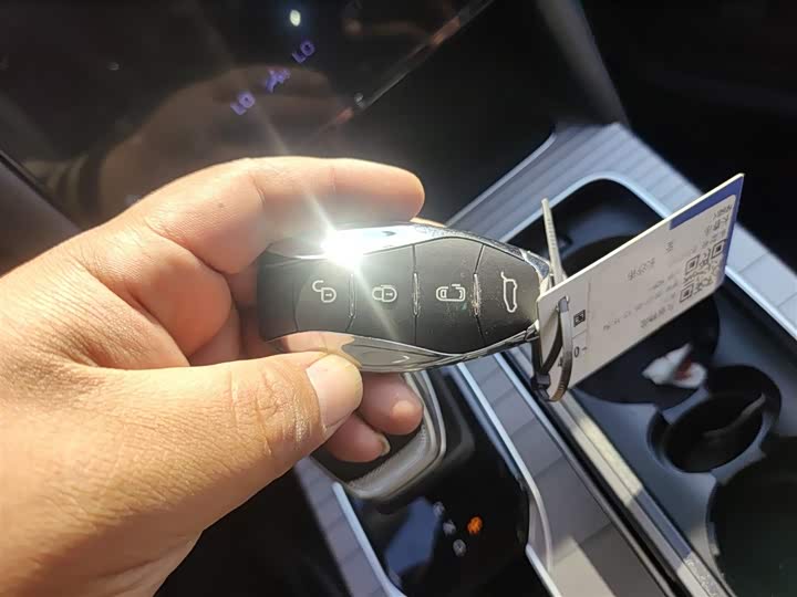 Фото 9 - Hongqi HS7 Hybrid