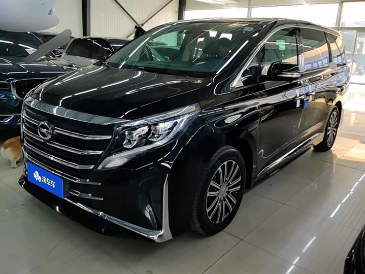Фото 1 - GAC Trumpchi M8