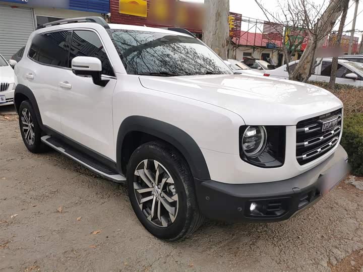 Фото 4 - Haval Dargo