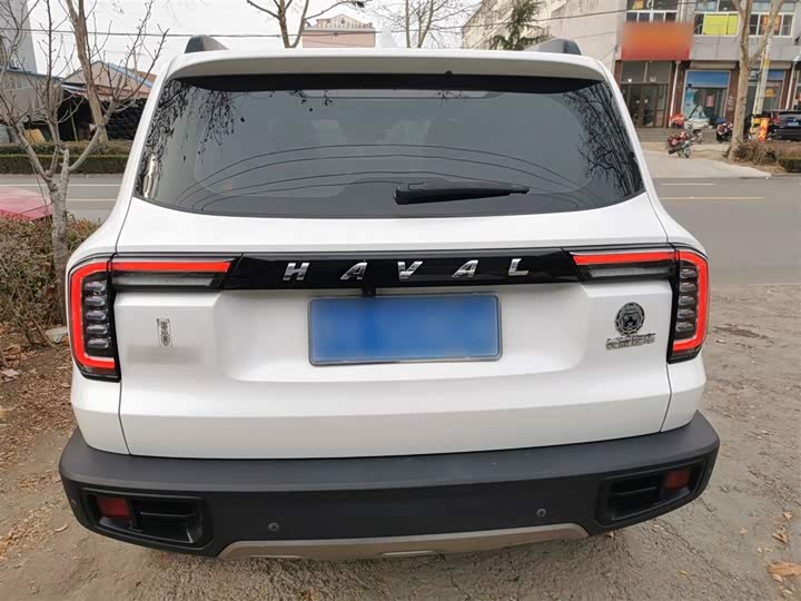 Фото 6 - Haval Dargo