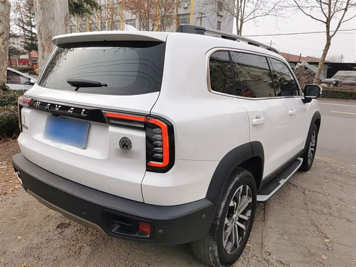 Фото 7 - Haval Dargo
