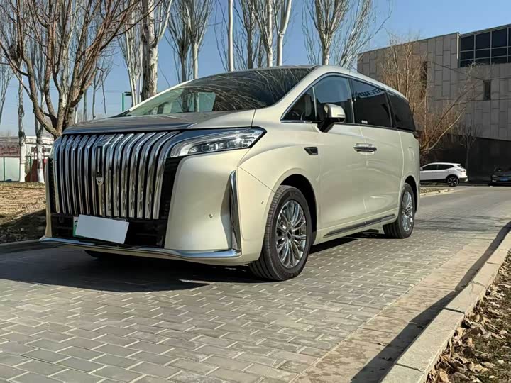 Фото 2 - Wey Gaoshan