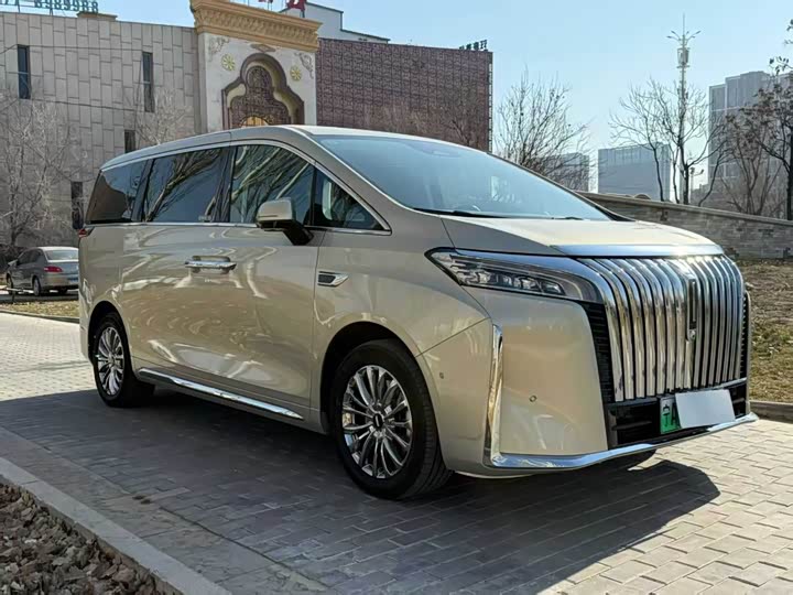 Фото 3 - Wey Gaoshan