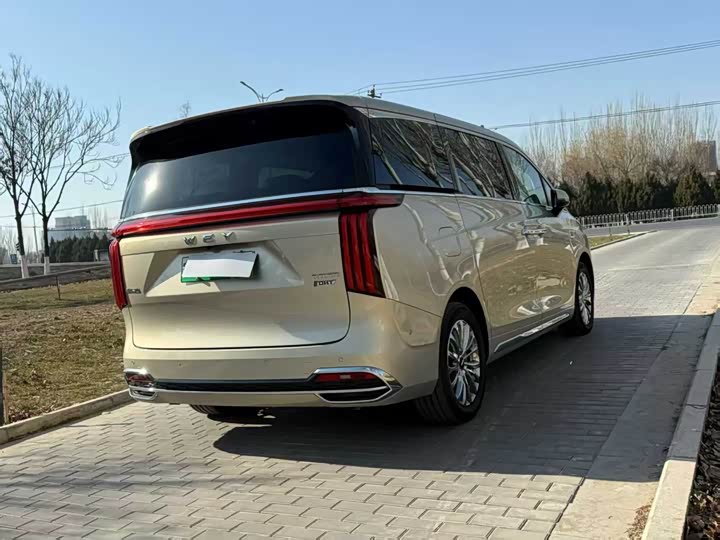 Фото 7 - Wey Gaoshan