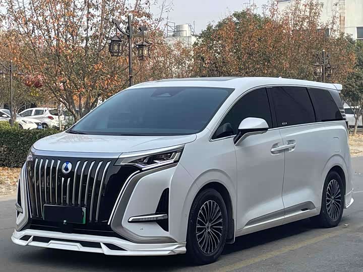 Фото 1 - Denza D9