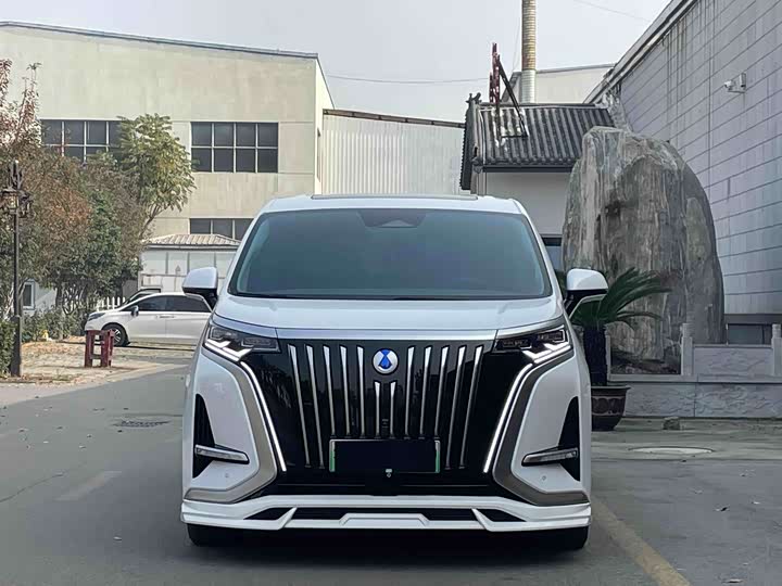 Фото 2 - Denza D9