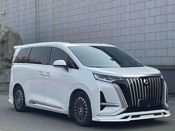 Фото 3 - Denza D9