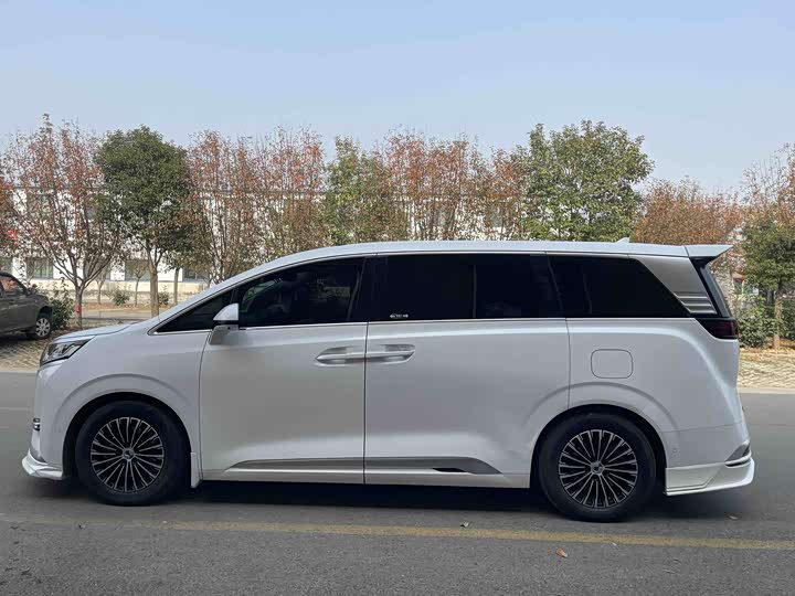 Фото 5 - Denza D9