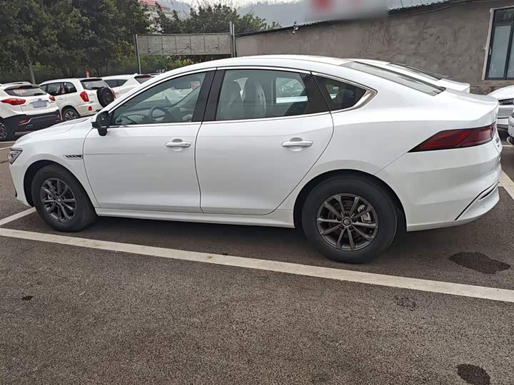 Фото 5 - BYD Qin Plus