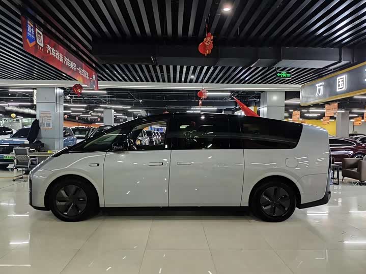 Фото 7 - LiXiang Mega