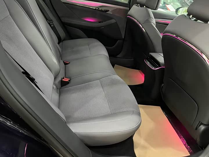 Фото 4 - Voyah Passion