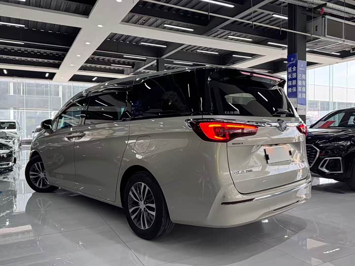 Фото 7 - Buick GL8 ES