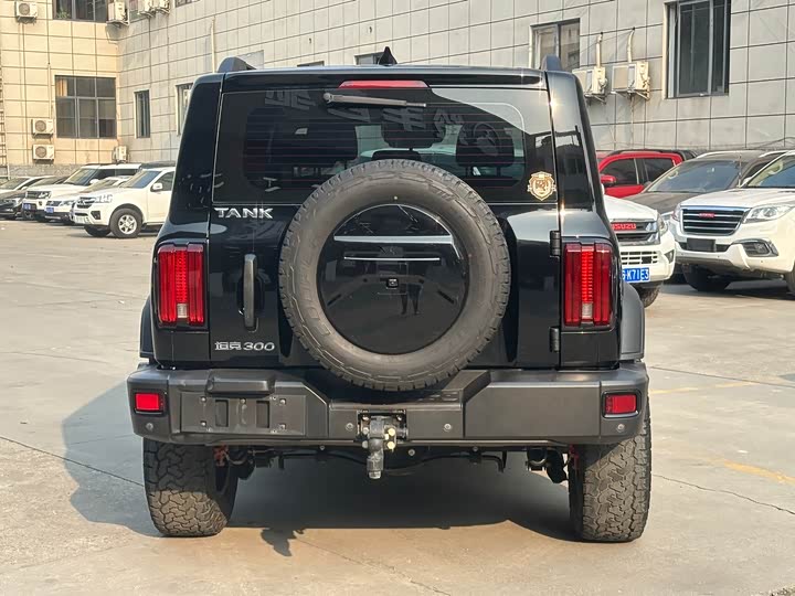 Фото 4 - Tank 300