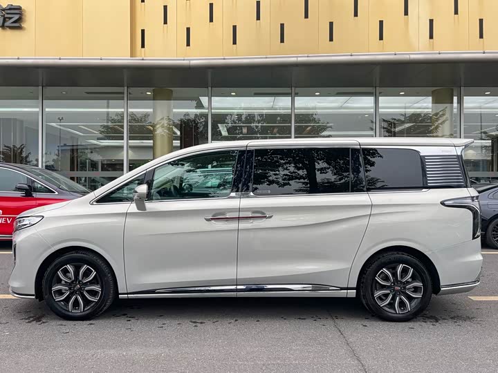 Фото 4 - Hongqi HQ9