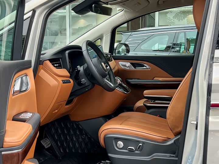 Фото 6 - Hongqi HQ9