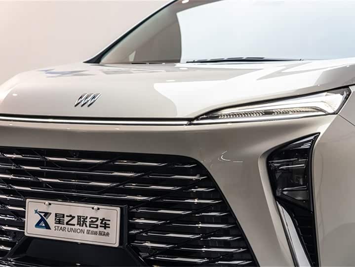 Фото 4 - Buick GL8 ES