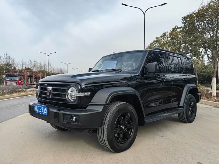 Фото 1 - Tank 300