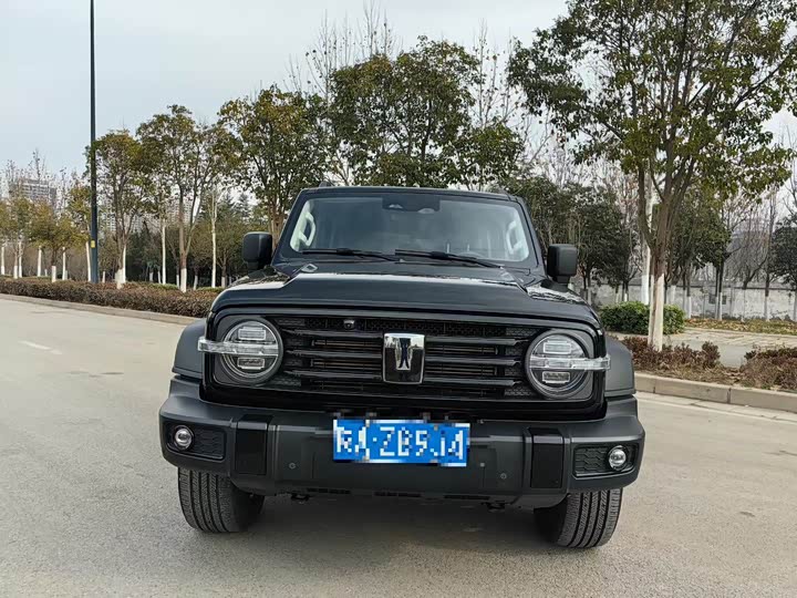 Фото 2 - Tank 300