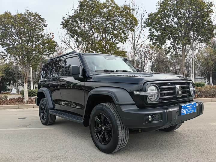 Фото 3 - Tank 300