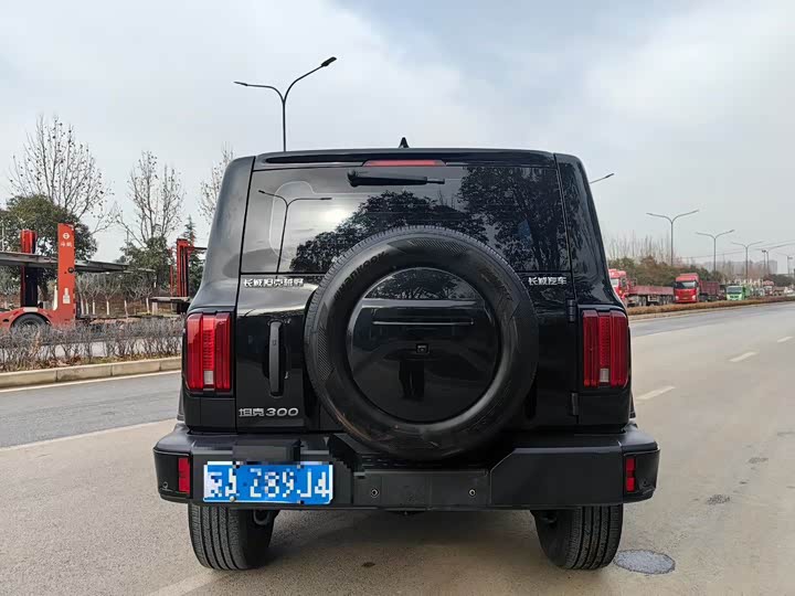 Фото 8 - Tank 300