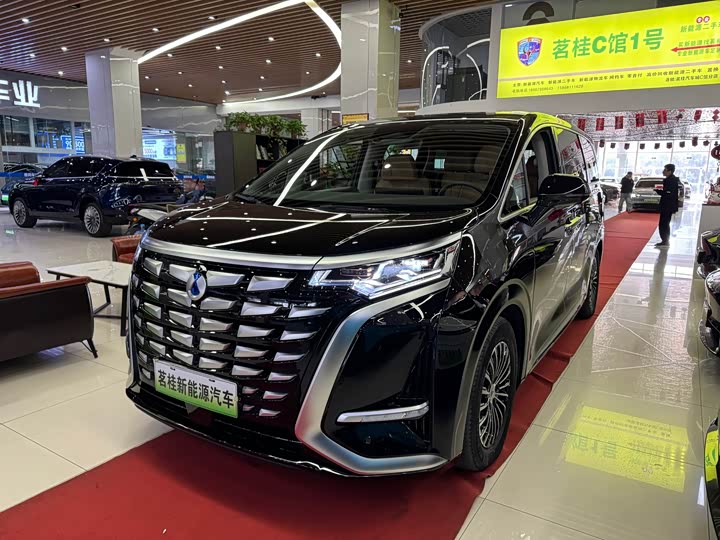 Фото 1 - Denza D9