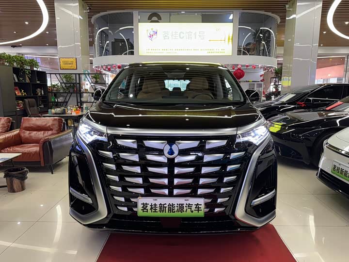 Фото 2 - Denza D9