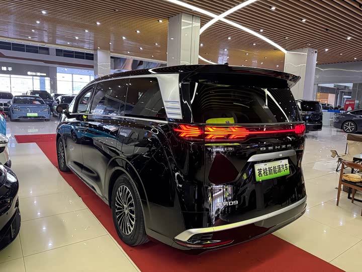 Фото 4 - Denza D9