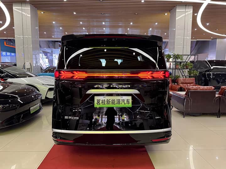 Фото 5 - Denza D9