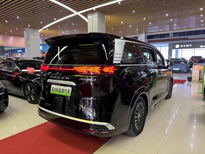 Фото 6 - Denza D9