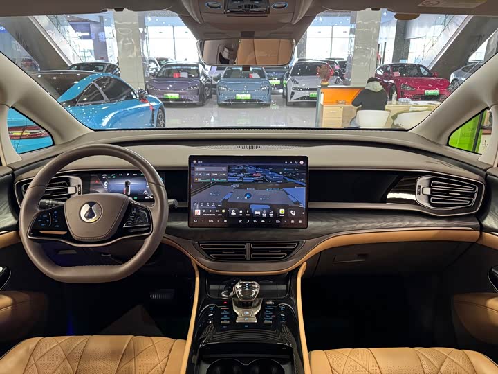 Фото 8 - Denza D9