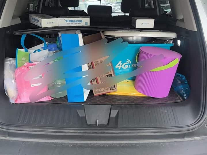 Фото 4 - Haval Dargo