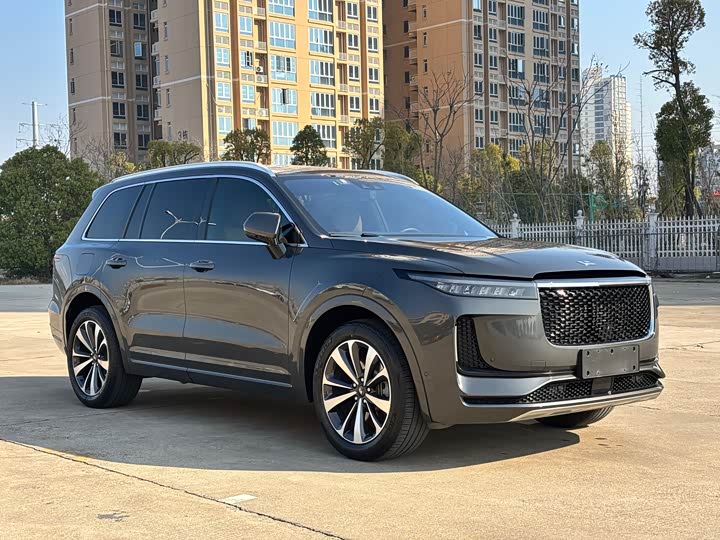 Фото 3 - LiXiang One