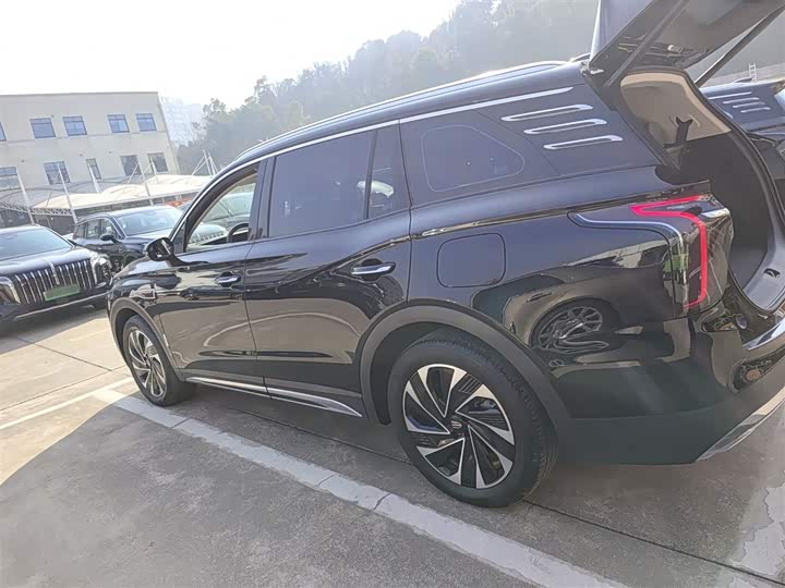 Фото 5 - Hongqi HS7 Hybrid