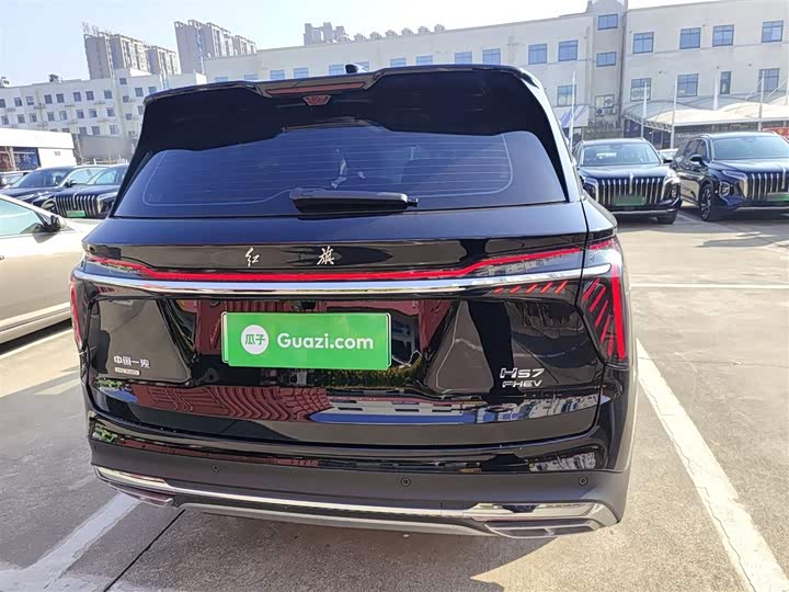 Фото 6 - Hongqi HS7 Hybrid