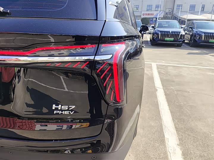 Фото 8 - Hongqi HS7 Hybrid