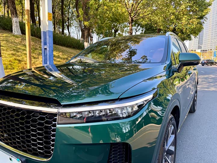 Фото 5 - LiXiang One