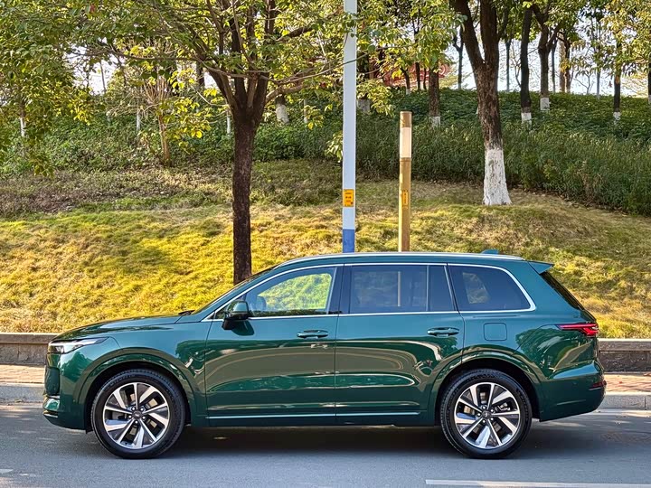 Фото 6 - LiXiang One