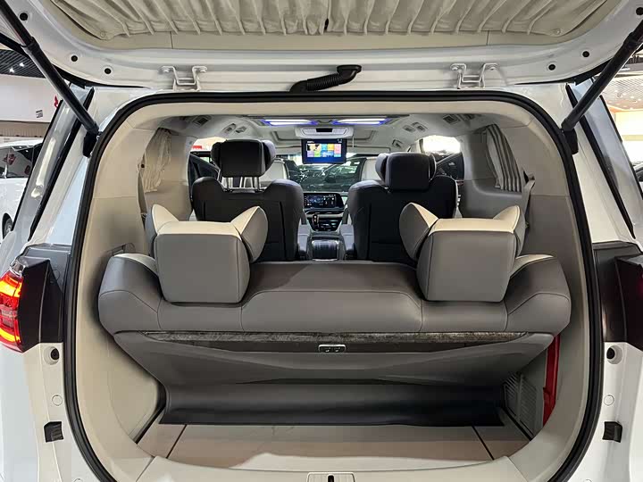 Фото 6 - Buick GL8 ES