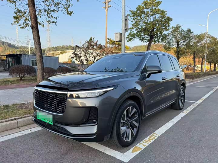 Фото 1 - LiXiang One