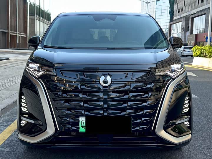 Фото 2 - Denza D9