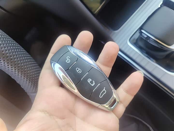 Фото 9 - Hongqi HS7 Hybrid