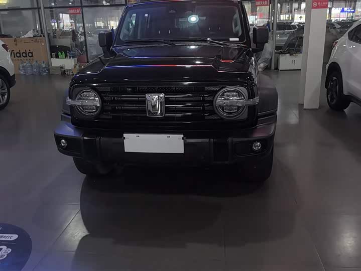 Фото 2 - Tank 300