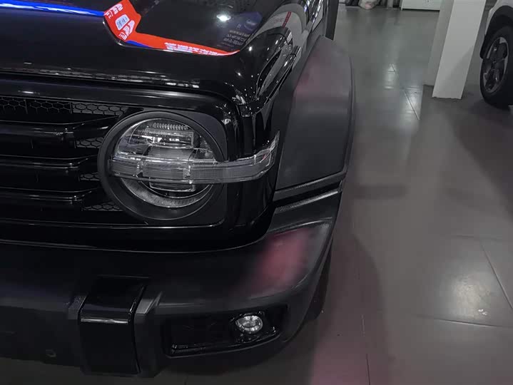 Фото 5 - Tank 300