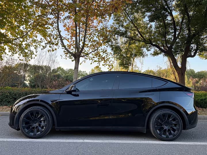 Фото 2 - Tesla Model Y